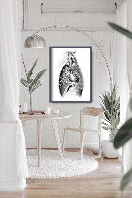 Wall art Human Body Part