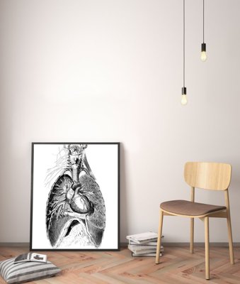 Wall art Human Body Part