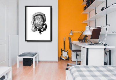 Poster Anatomical Print Large Intestine