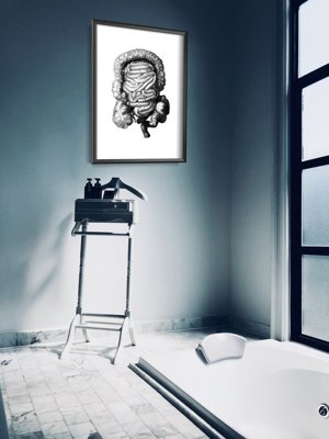 Poster Anatomical Print Large Intestine