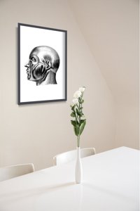 Canvas poster Anatomical Prints Head muscles