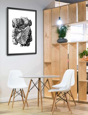Poster Anatomical Prints Human Muscles