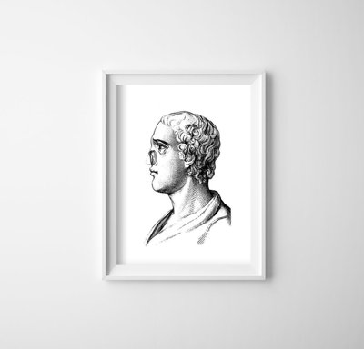 Vintage poster Anatomical Prints Face Nose