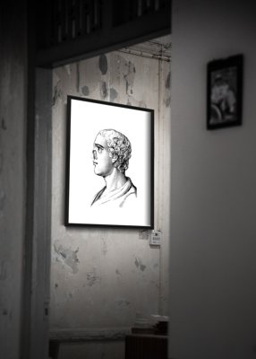 Vintage poster Anatomical Prints Face Nose