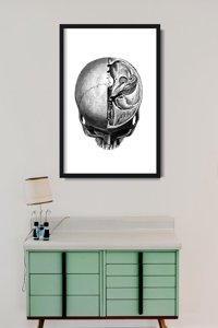 Wall art Anatomical Prints Head Skullt