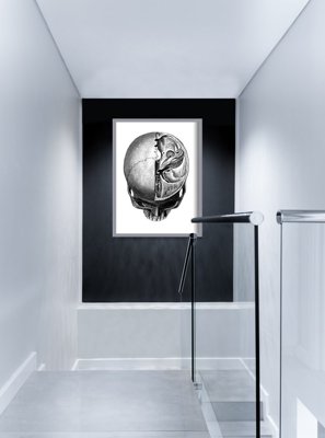 Wall art Anatomical Prints Head Skullt