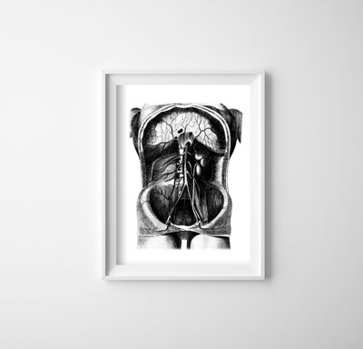 Canvas poster Skeleton Illustration