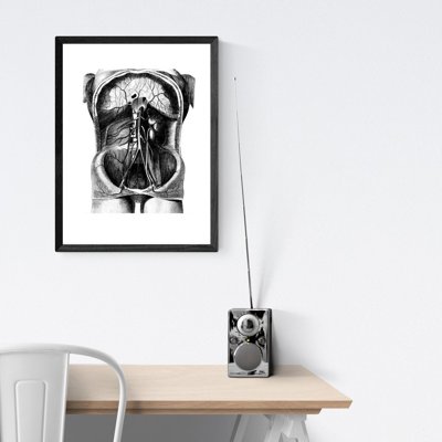 Canvas poster Skeleton Illustration