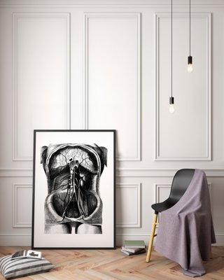 Canvas poster Skeleton Illustration