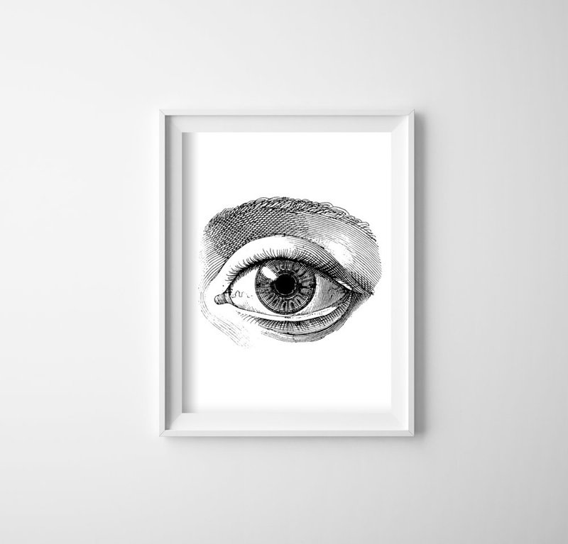 Poster Anatomy Print Eye