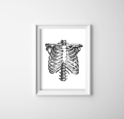 Canvas poster Anatomical Skeleton