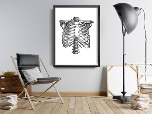 Canvas poster Anatomical Skeleton
