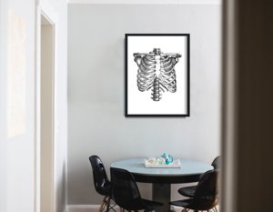 Canvas poster Anatomical Skeleton