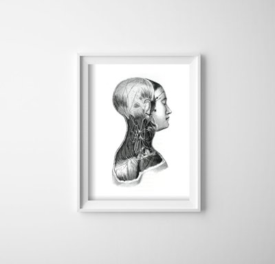 Vintage poster art Anatomical Prints Neck Musclest