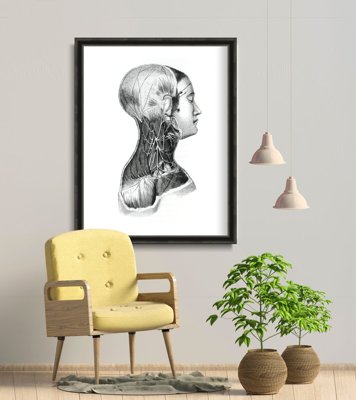 Vintage poster art Anatomical Prints Neck Musclest