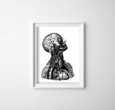 Poster Body Neck