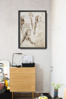 Vintage poster art Muscles Of The Upper Limbs Da Vinci