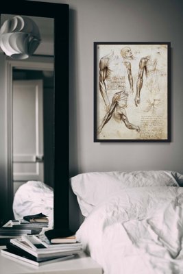 Vintage poster art Muscles Of The Upper Limbs Da Vinci