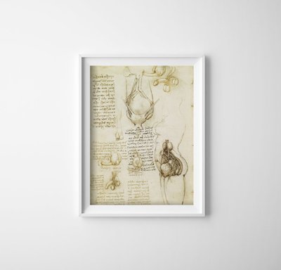 Wall art Da Vinci Print The Male And Female Reproductive Systems