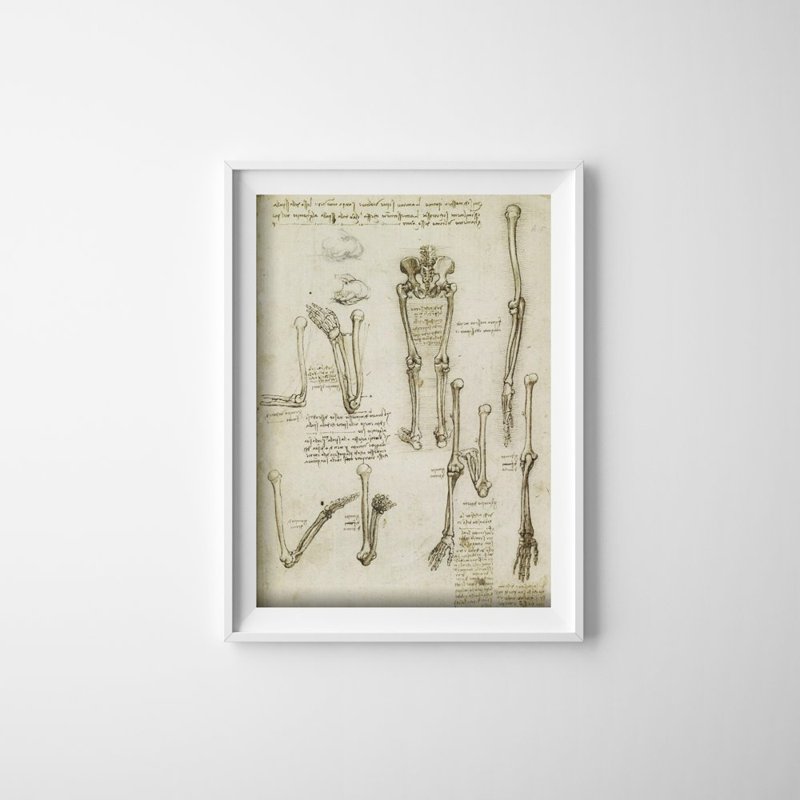 Canvas poster Da Vinci Anatomical Print Bones