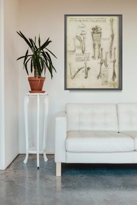 Canvas poster Da Vinci Anatomical Print Bones