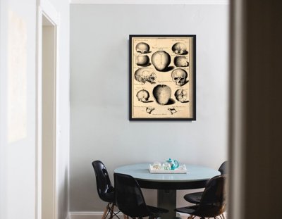 Poster John Fotherby Most of External Face Bones