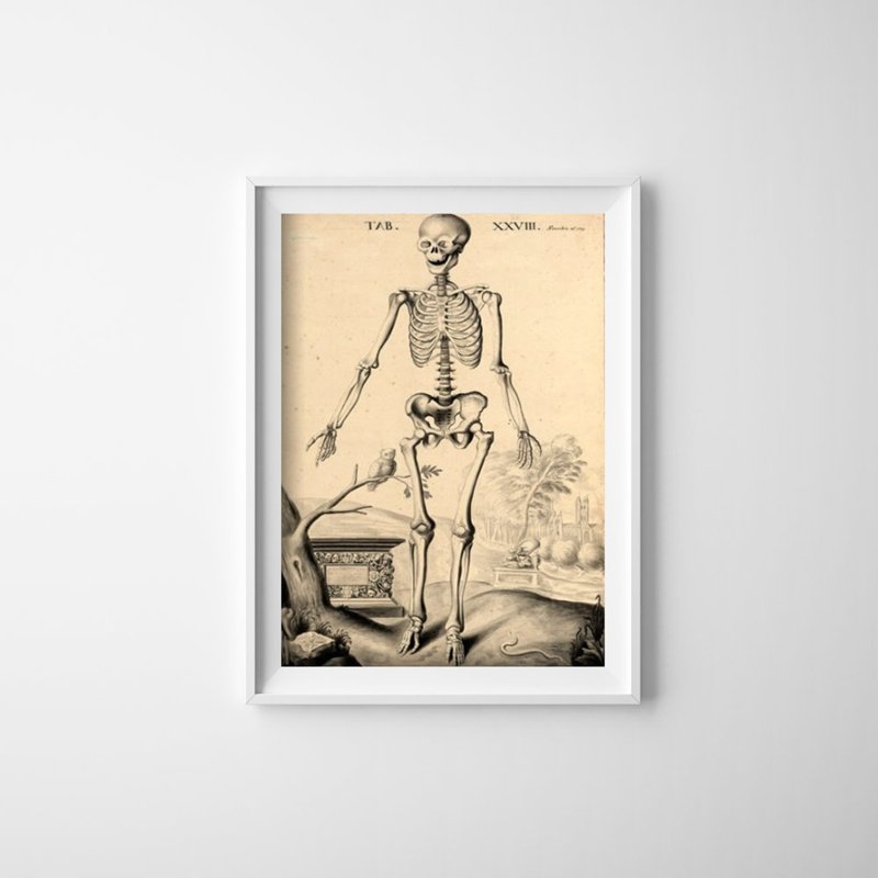 Vintage poster John Fotherby Skeleton