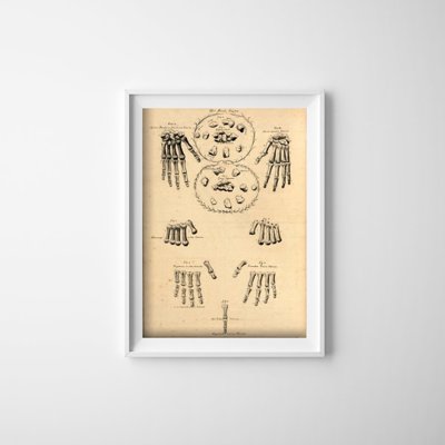 Vintage poster art John Fotherby Hands and Finger