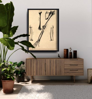Wall art John Fotherby Arm Bones