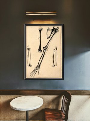 Wall art John Fotherby Arm Bones