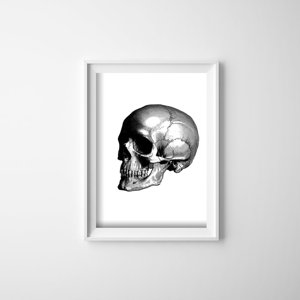 Poster Skull