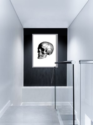 Poster Skull