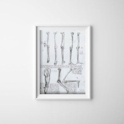 Poster Da Vinci Bones Legs