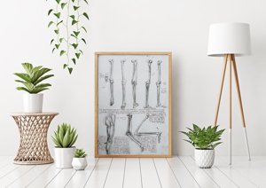 Poster Da Vinci Bones Legs