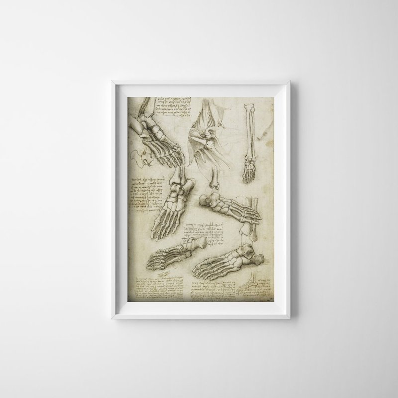 Vintage poster Da Vinci Feet Bones
