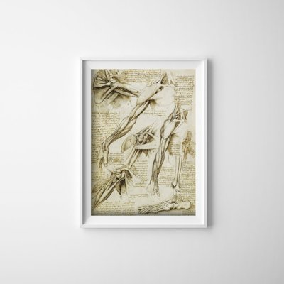 Vintage poster art Da Vinci Medical Print Muscles