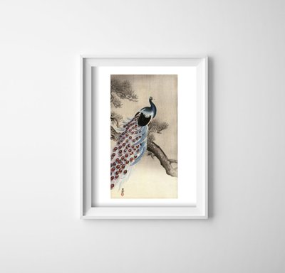 Vintage poster Peacock on a Bough of a Pine Tree by Ohara Koson
