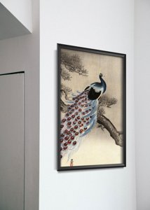 Vintage poster Peacock on a Bough of a Pine Tree by Ohara Koson