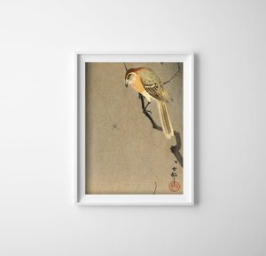 Vintage poster Bull Headed Shrike And Spider by Ohara Koson