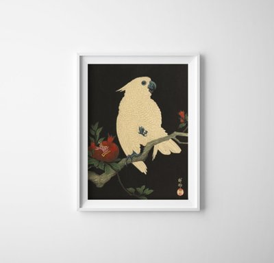 Poster Parrot With Pomegranate by Ohara Koson