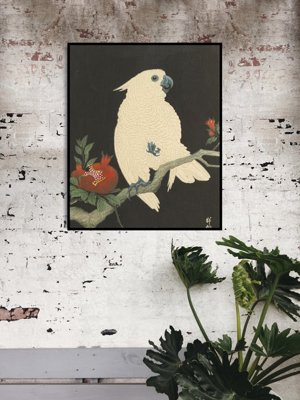 Poster Parrot With Pomegranate by Ohara Koson