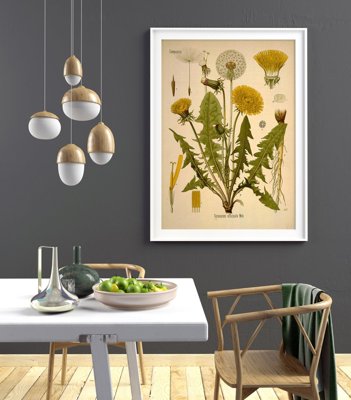 Canvas poster Teraxacum Officinale Dandelion Print