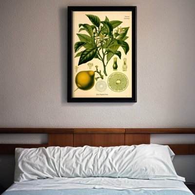 Vintage poster Bergamote Orange Risso