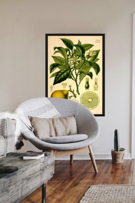 Vintage poster Bergamote Orange Risso