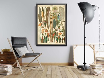 Vintage poster art Feather Print Plumes Adolphe Millot