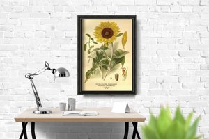 Wall art Sunflower Print