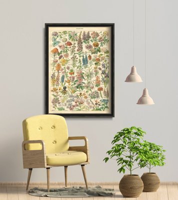 Poster Flower Print Adolphe Millo