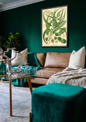 Canvas poster Eucalyptus Illustration