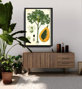 Vintage poster Papaya Fruit Tree Antique Botanical Print