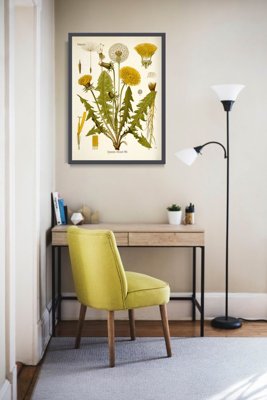 Vintage poster art Teraxacum Officinale Dandelion Print